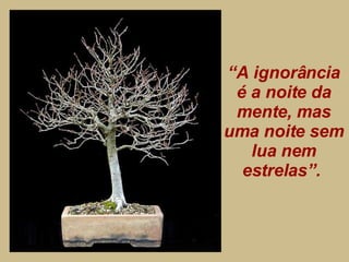 “ A ignorância é a noite da mente, mas uma noite sem lua nem estrelas”.  