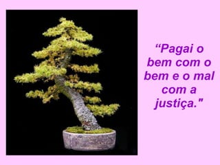 “ Pagai o bem com o bem e o mal com a justiça." 