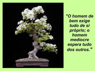 "O homem de bem exige tudo de si próprio; o homem medíocre espera tudo dos outros. " 
