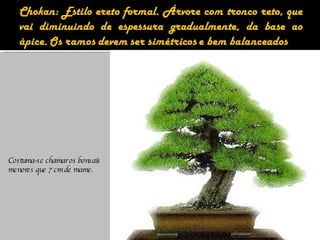 Costuma-se chamar os bonsais menores que 7 cm de  mame. 