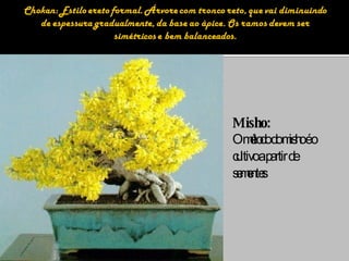 Misho: O método do misho é o cultivo a partir de sementes 