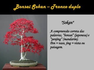 A compreensão correta das palavras, “bonsai” (japonesa) e “penjing” (mandarim).  Pen = vaso, jing = vista ou paisagem. "Sokan" 