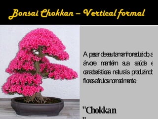 Apesar de seu tamanho reduzido, a árvore mantém sua saúde e características naturais produzindo flores e frutos normalmente. "Chokkan" 