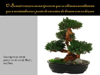 Sua origem no oriente parece ser do século III a.C., na China. 