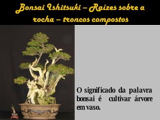 O significado da palavra bonsai é  cultivar árvore em vaso. 