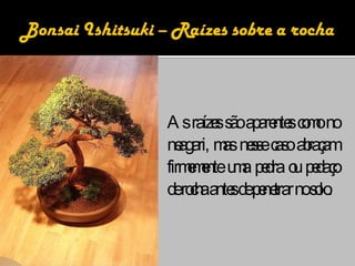 As raízes são aparentes como no neagari, mas nesse caso abraçam firmemente uma pedra ou pedaço de rocha antes de penetrar no solo. 