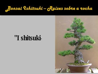 "Ishitsuki " 