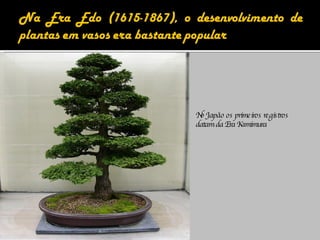 No Japão os primeiros registros datam da Era Kamimura 