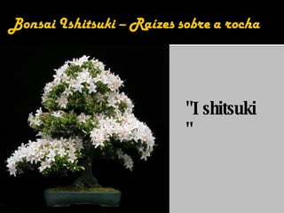 "Ishitsuki" 