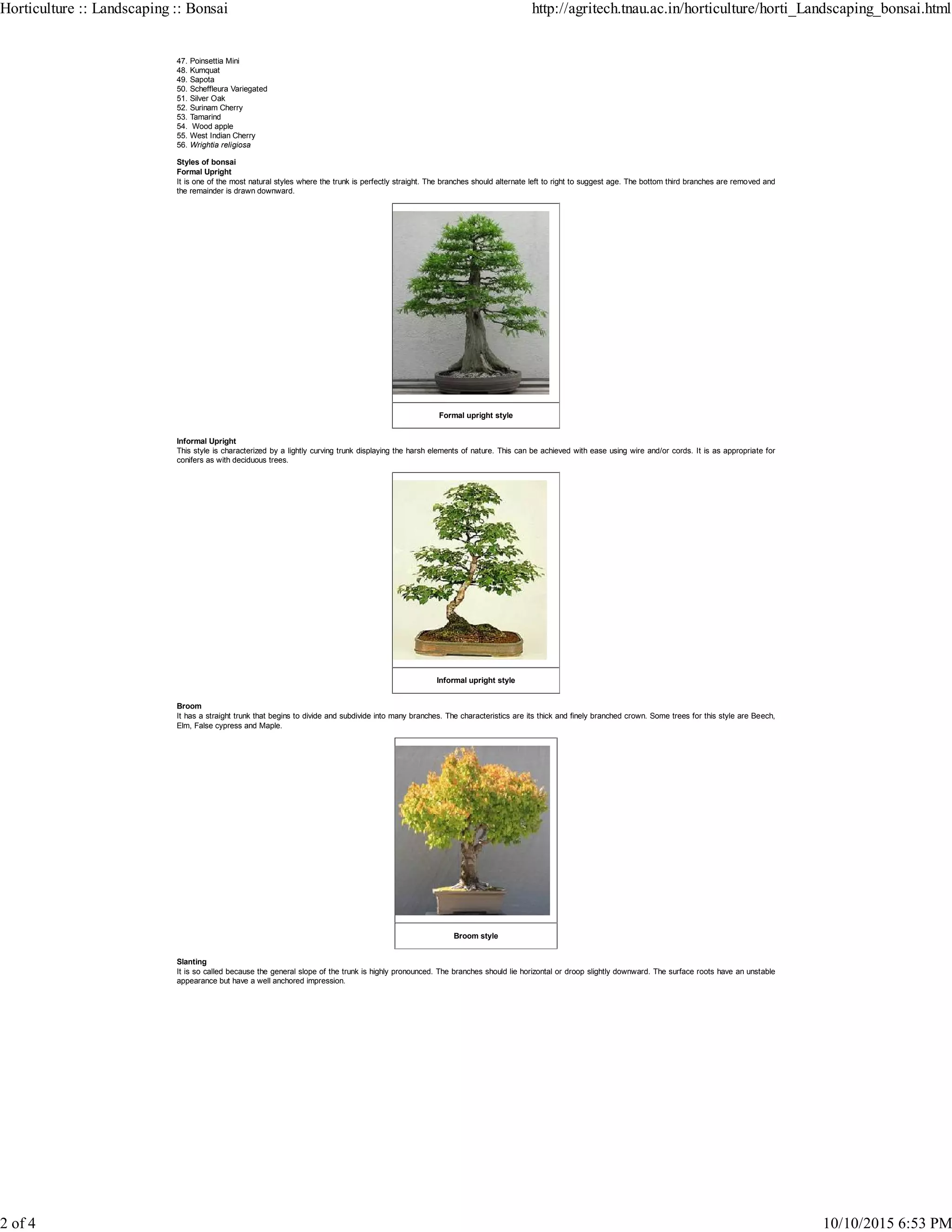 Bonsai | PDF