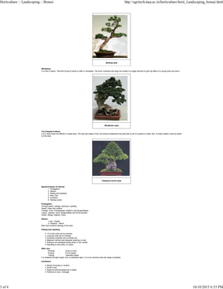 Bonsai | PDF