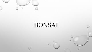BONSAI
 