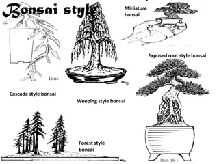 Cascade style bonsai
Exposed root style bonsai
Forest style
bonsai
Weeping style bonsai
Miniature
bonsaiBonsai style
 