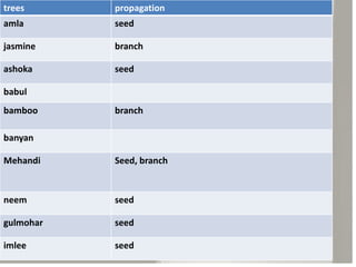 trees propagation
amla seed
jasmine branch
ashoka seed
babul
bamboo branch
banyan
Mehandi Seed, branch
neem seed
gulmohar seed
imlee seed
 