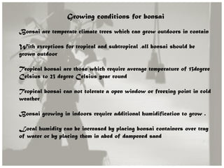 Growing conditions for bonsai
Bonsai are temperate climate trees which can grow outdoors in contain
With exceptions for tropical and subtropical ,all bonsai should be
grown outdoor
Tropical bonsai are those which require average temperature of 13degree
Celsius to 23 degree Celsius year round
Tropical bonsai can not tolerate a open window or freezing point in cold
weather
Bonsai growing in indoors require additional humidification to grow .
Local humidity can be increased by placing bonsai containers over tray
of water or by placing them in abed of dampened sand
 