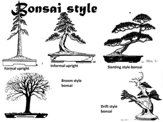 Formal upright
Informal upright Slanting style bonsai
Broom style
bonsai
Drift style
bonsai
Bonsai style
 