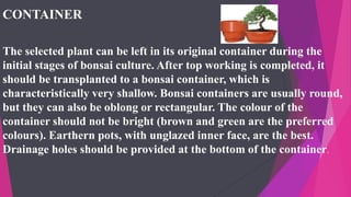 CONTAINER
The selected plant can be left in its original container during the
initial stages of bonsai culture. After top working is completed, it
should be transplanted to a bonsai container, which is
characteristically very shallow. Bonsai containers are usually round,
but they can also be oblong or rectangular. The colour of the
container should not be bright (brown and green are the preferred
colours). Earthern pots, with unglazed inner face, are the best.
Drainage holes should be provided at the bottom of the container.
 