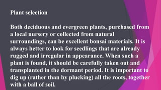 Plant selection
Both deciduous and evergreen plants, purchased from
a local nursery or collected from natural
surroundings, can be excellent bonsai materials. It is
always better to look for seedlings that are already
rugged and irregular in appearance. When such a
plant is found, it should be carefully taken out and
transplanted in the dormant period. It is important to
dig up (rather than by plucking) all the roots, together
with a ball of soil.
 