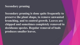 Secondary pruning
Secondary pruning is done quite frequently to
preserve the plant shape, to remove unwanted
branching, and to control growth. Leaves are
chipped and sometimes completely removed in
deciduous species. Regular removal of buds
produces smaller leaves.
 