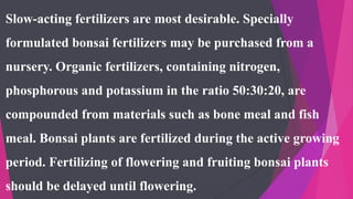 Slow-acting fertilizers are most desirable. Specially
formulated bonsai fertilizers may be purchased from a
nursery. Organic fertilizers, containing nitrogen,
phosphorous and potassium in the ratio 50:30:20, are
compounded from materials such as bone meal and fish
meal. Bonsai plants are fertilized during the active growing
period. Fertilizing of flowering and fruiting bonsai plants
should be delayed until flowering.
 