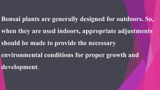 Bonsai plants are generally designed for outdoors. So,
when they are used indoors, appropriate adjustments
should be made to provide the necessary
environmental conditions for proper growth and
development.
 