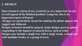 2. DESIGN
Since bonsai is a form of art, creativity is very important for the
overall appeal of the finished product. Longevity also is an
important aspect of bonsai.
Designs are particularly meant for making the plants appear old,
rugged and withered.
Designs of bonsai should be natural. Some designs portray plants
responding to the impacts of natural forces, such as wind.
Designs may include a single tree with a single trunk, a single tree
with multiple trunks, or a group of trees.
 