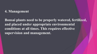 4. Management
Bonsai plants need to be properly watered, fertilized,
and placed under appropriate environmental
conditions at all times. This requires effective
supervision and management.
 