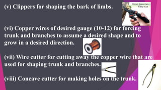 (v) Clippers for shaping the bark of limbs.
(vi) Copper wires of desired gauge (10-12) for forcing
trunk and branches to assume a desired shape and to
grow in a desired direction.
(vii) Wire cutter for cutting away the copper wire that are
used for shaping trunk and branches.
(viii) Concave cutter for making holes on the trunk.
 
