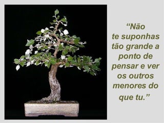 “ Não te suponhas tão grande a ponto de pensar e ver os outros menores do que tu.”   