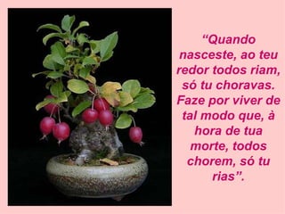 “ Quando nasceste, ao teu redor todos riam, só tu choravas. Faze por viver de tal modo que, à hora de tua morte, todos chorem, só tu rias”. 