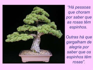 “ Há pessoas que choram por saber que as rosas têm espinhos.  Outras há que gargalham de alegria por saber que os espinhos têm rosas”. 