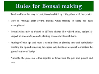 The World of Bonsai: Exploring Styles, Containers, Tools, and Ideal Plants  for Timeless Living Art | PDF