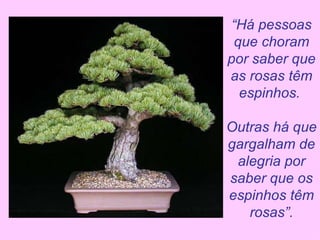 “ Há pessoas que choram por saber que as rosas têm espinhos.  Outras há que gargalham de alegria por saber que os espinhos têm rosas”. 