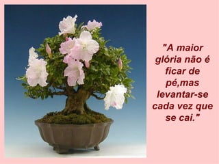 "A maior glória não é ficar de pé,mas levantar-se cada vez que se cai." 