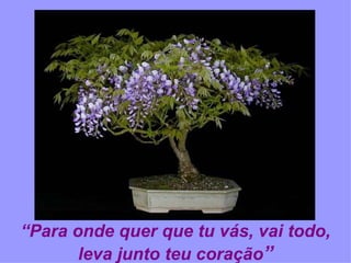 “ Para onde quer que tu vás, vai todo, leva junto teu coração ” 