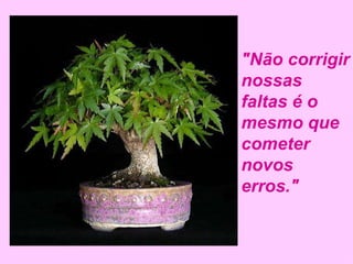 "Não corrigir nossas faltas é o mesmo que cometer novos erros." 