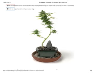1/22/22, 5:36 PM Bonsaiajuana - How to Make Your Marijuana Plant a Bonsai Tree
https://cannabis.net/blog/how-to/bonsaiajuana-how-to-make-your-marijuana-plant-a-bonsai-tree 2/15
i j k
 Edit Article (https://cannabis.net/mycannabis/c-blog-entry/update/bonsaiajuana-how-to-make-your-marijuana-plant-a-bonsai-tree)
 Article List (https://cannabis.net/mycannabis/c-blog)
 