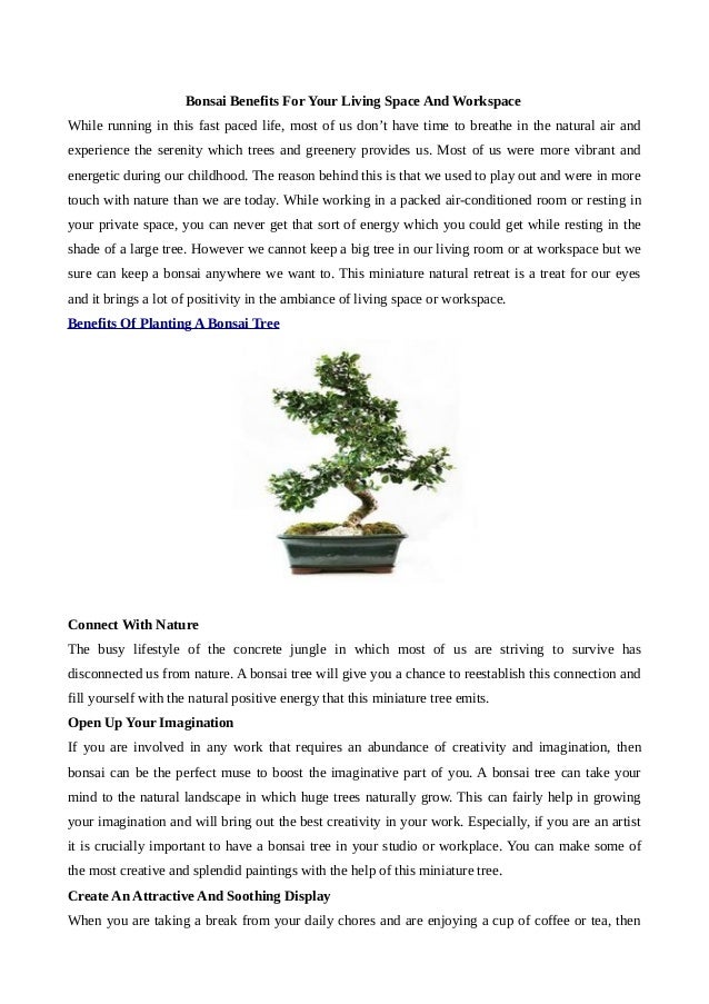 Bonsai benefits for your living space and workspace Bonsai benefits for your living space and workspace