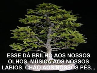 ESSE DÁ BRILHO AOS NOSSOS OLHOS, MÚSICA AOS NOSSOS LÁBIOS, CHÃO AOS NOSSOS PÉS... 
