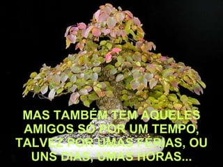 MAS TAMBÉM TEM AQUELES AMIGOS SÓ POR UM TEMPO, TALVEZ POR UMAS FÉRIAS, OU UNS DIAS, UMAS HORAS... 