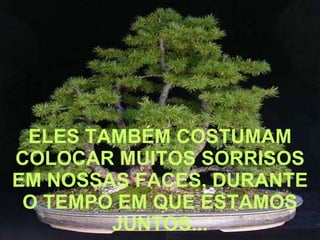 ELES TAMBÉM COSTUMAM COLOCAR MUITOS SORRISOS EM NOSSAS FACES, DURANTE O TEMPO EM QUE ESTAMOS JUNTOS... 