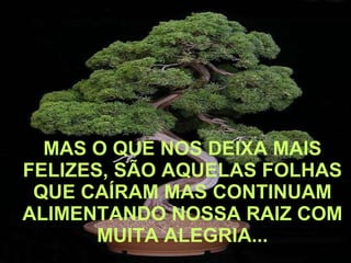 MAS O QUE NOS DEIXA MAIS FELIZES, SÃO AQUELAS FOLHAS QUE CAÍRAM MAS CONTINUAM ALIMENTANDO NOSSA RAIZ COM MUITA ALEGRIA... 