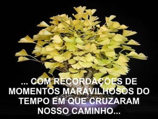 ... COM RECORDAÇÕES DE MOMENTOS MARAVILHOSOS DO TEMPO EM QUE CRUZARAM NOSSO CAMINHO... 