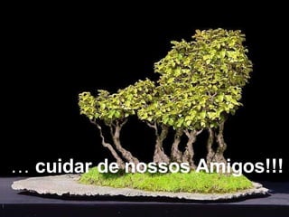 …  cuidar de nossos Amigos!!! 