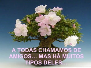 A TODAS CHAMAMOS DE AMIGOS… MAS HÁ MUITOS TIPOS DELES… 
