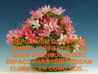 DEPOIS VEM OS AMIGOS IRMÃOS, OS FILHOS, COM QUEM DIVIDIMOS NOSSO ESPAÇO PARA QUE POSSAM FLORESCER COMO NÓS… 