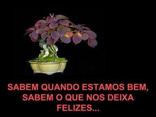 SABEM QUANDO ESTAMOS BEM, SABEM O QUE NOS DEIXA FELIZES... 