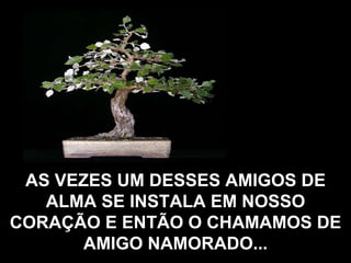 AS VEZES UM DESSES AMIGOS DE ALMA SE INSTALA EM NOSSO CORAÇÃO E ENTÃO O CHAMAMOS DE AMIGO NAMORADO... 