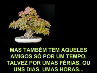 MAS TAMBÉM TEM AQUELES AMIGOS SÓ POR UM TEMPO, TALVEZ POR UMAS FÉRIAS, OU UNS DIAS, UMAS HORAS... 