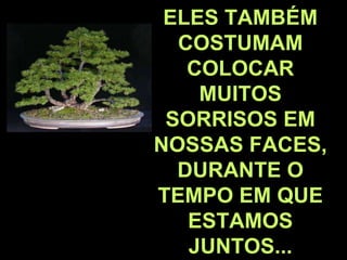 ELES TAMBÉM COSTUMAM COLOCAR MUITOS SORRISOS EM NOSSAS FACES, DURANTE O TEMPO EM QUE ESTAMOS JUNTOS... 